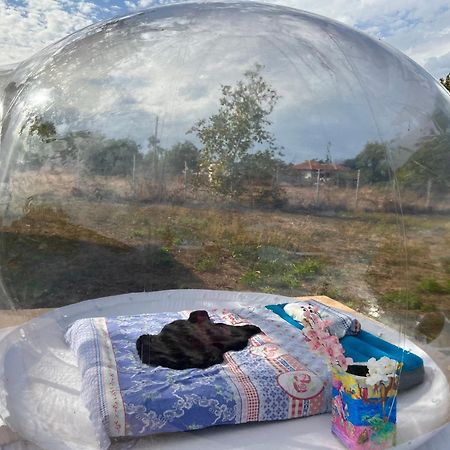 Caravans 10 Min To Tsonevo Lake & 35 Min To Black Sea Esterno foto